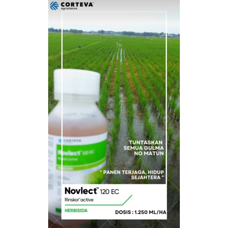 HERBISIDA NOVLECT 125 ML