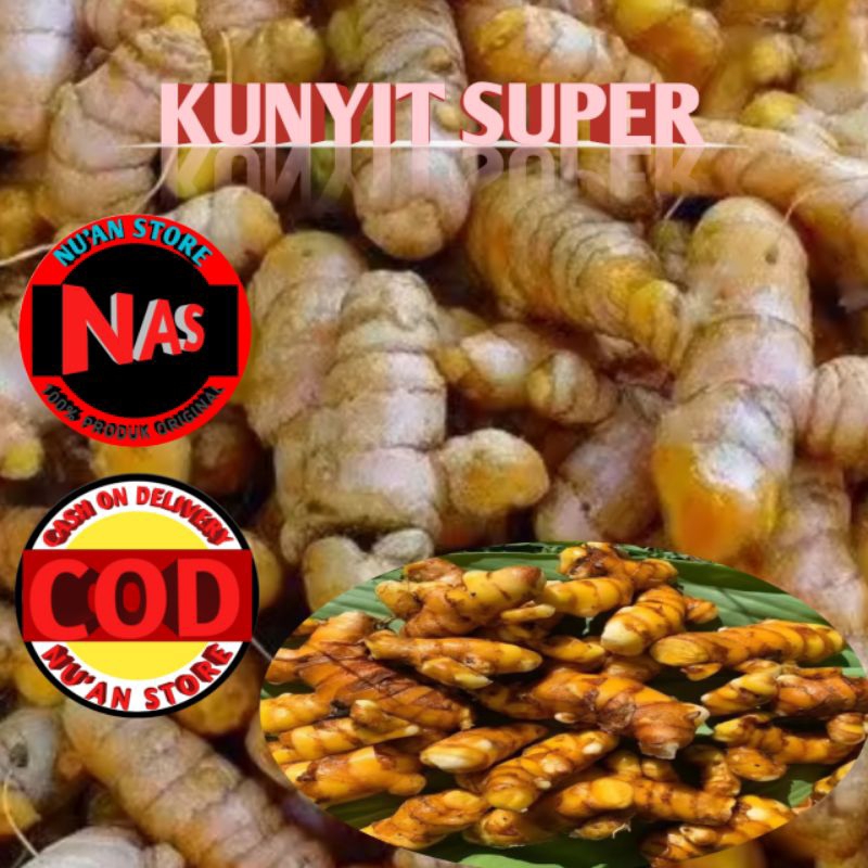 

Kunyit super , kunyit solor atau kunyit yang di ambil cuma yang besarnya saja Kemasan 1kg