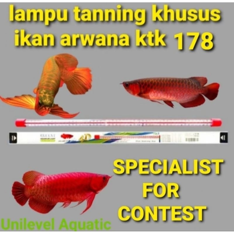 LAMPU TANNING SUPER MEGAH 4D RECENT KTK 178 TERLARIS