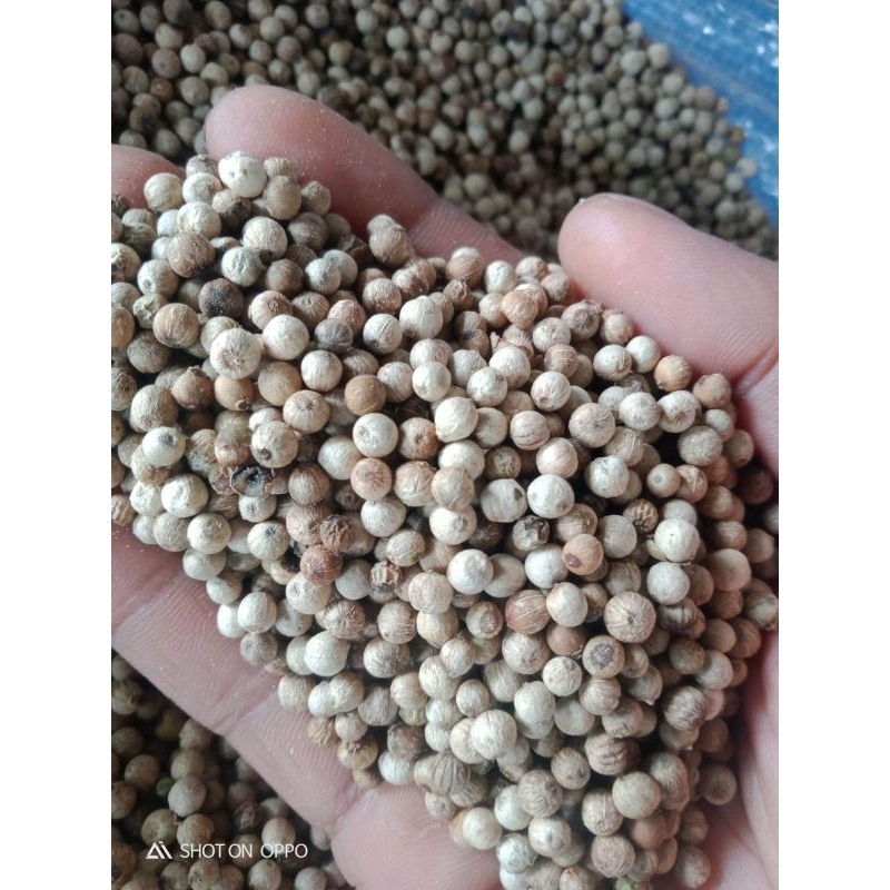 

merica bumbu dapur 500 gr