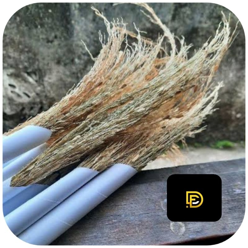 Merang ketan hitam jerami ketan hitam perikat-az