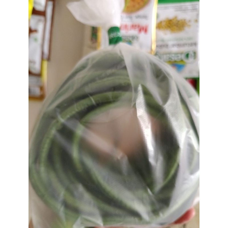 

kacang panjang