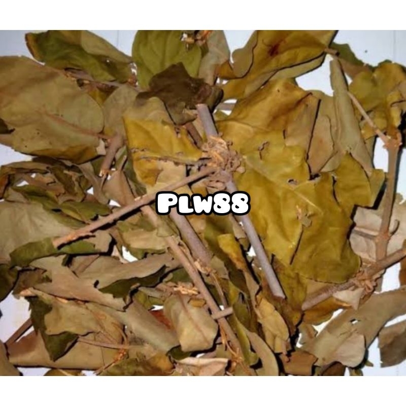 Benalu jeruk bali kering 250 gram