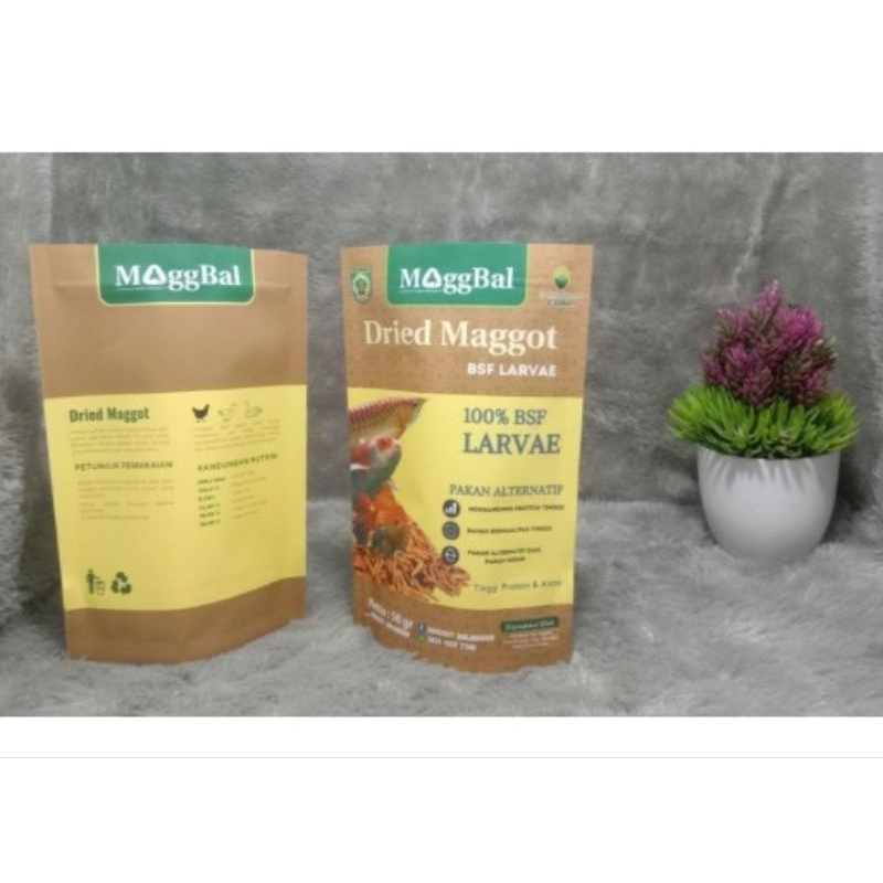 Maggot kering(Dried maggot) berat bersih 50g