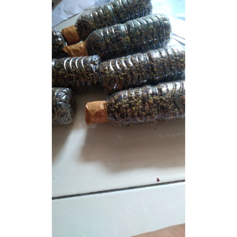 

andaliman segar