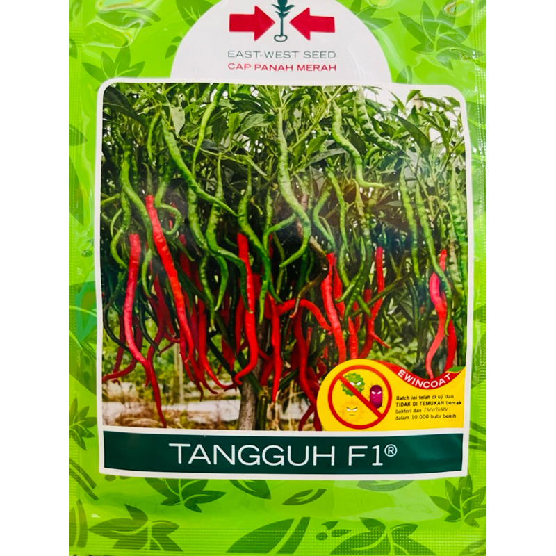 Benih Cabe Merah Keriting TANGGUH F1 Isi 2000Biji Cap panah Merah