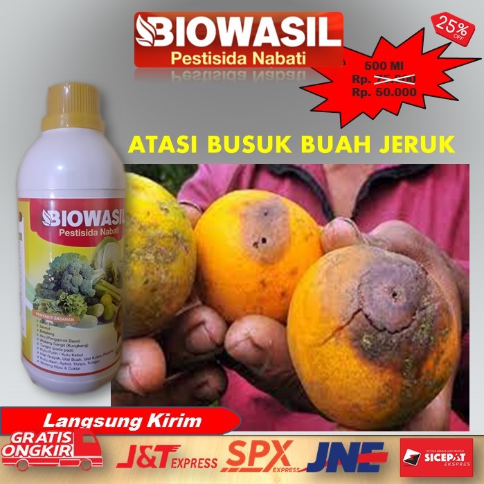 Murah BIOWASIL Pestisida Nabati 500 Ml Paling Ampuh Pupuk Pengendali Hama Lalat Buah Pada Jeruk – At