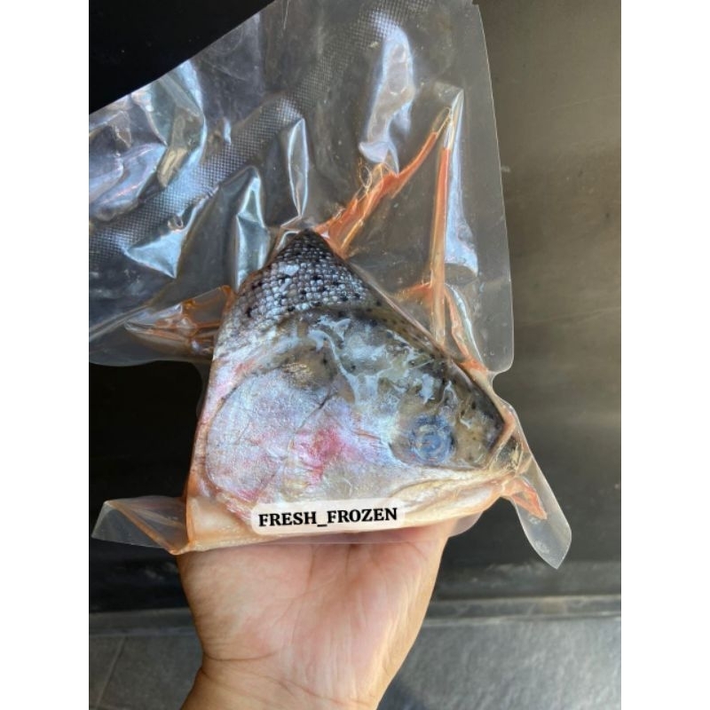 

KEPALA IKAN SALMON FRESH