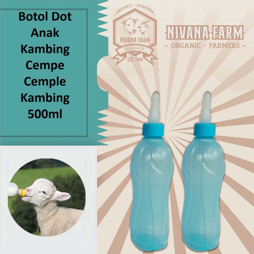 Botol Dot Anak Kambing Cempe Cemple Kambing 500ml