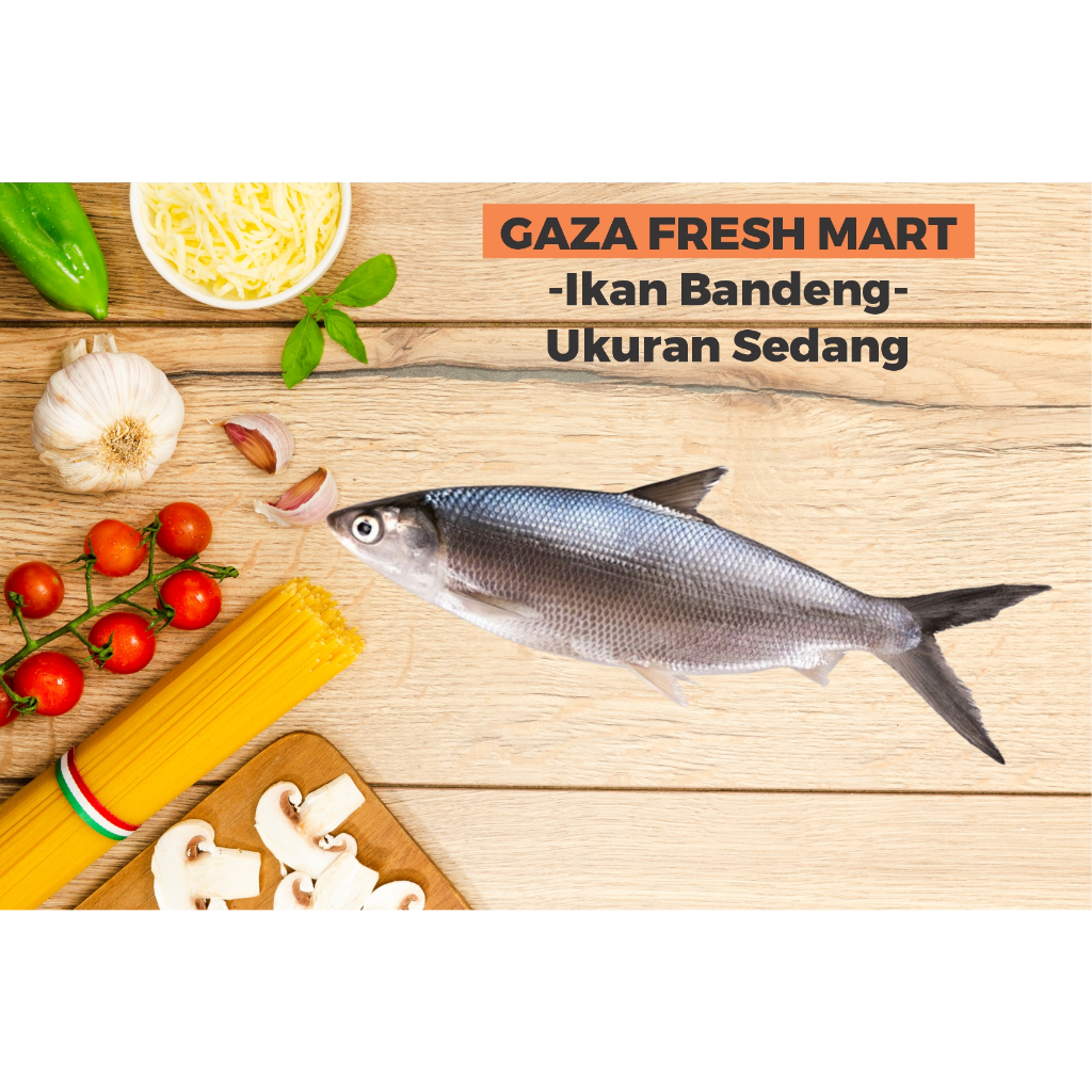 

IKAN BANDENG SEGAR - FRESH FISH IKAN LAUT SEAFOOD
