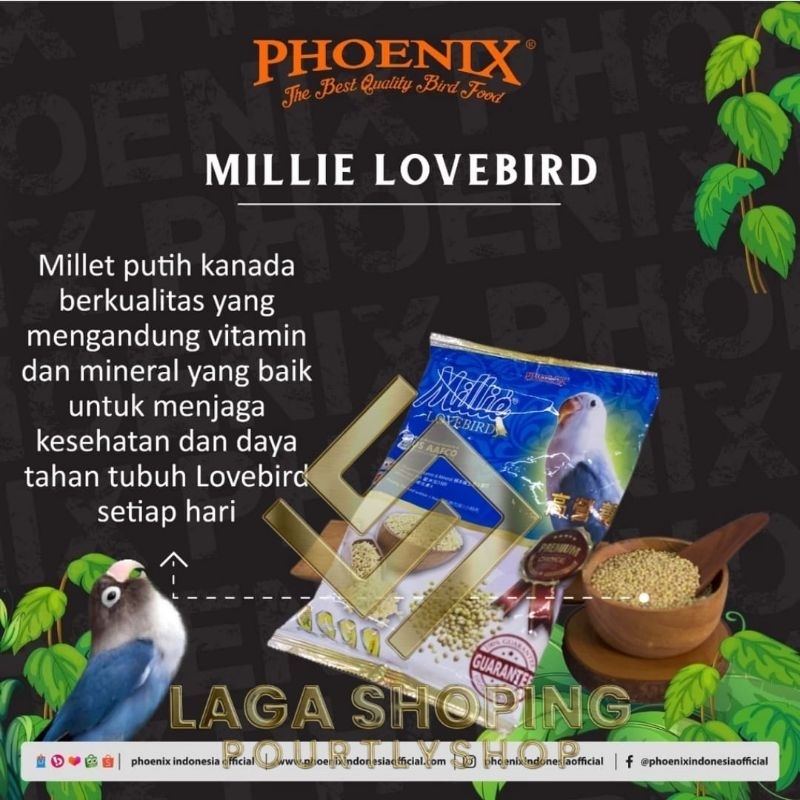 MILLIE PHOENIX MILET PUTIH impor makanan burung lovebird kenari perkutut dll