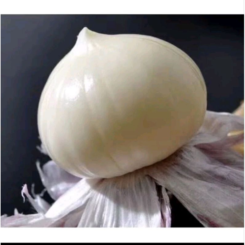 

Bawang putih tunggal kupas fress 500/ gram