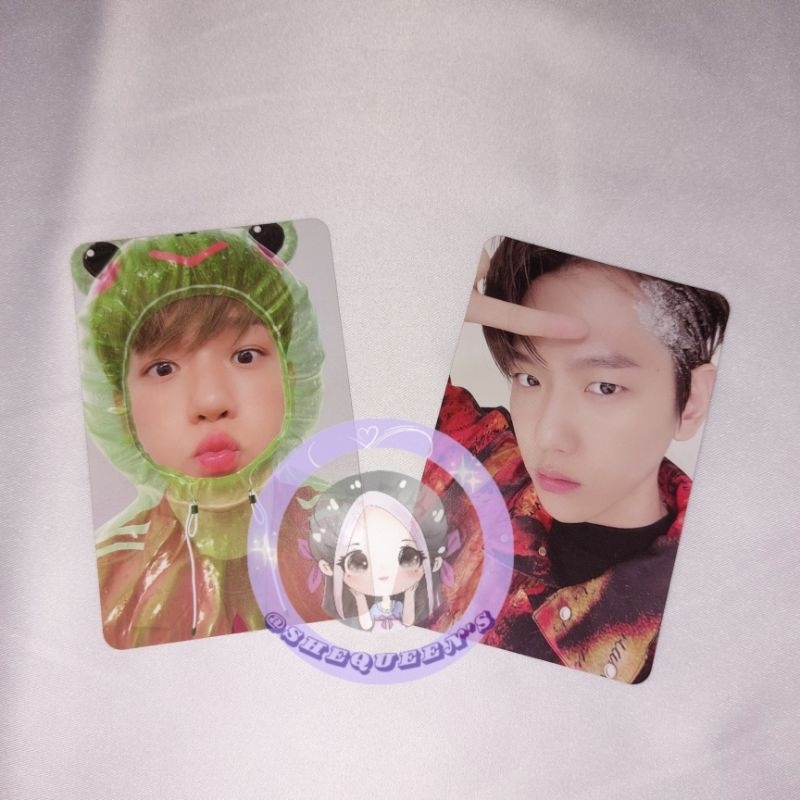 Photocard Official Baekhyun Frog (Kodok)