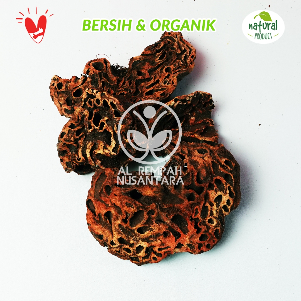 

Sarang Semut 50 gr Merah Asli Papua - Kering Matahari