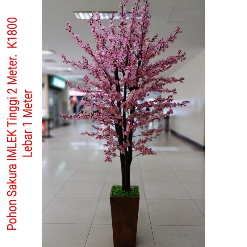 Pohon Imlek Sakura Meihua mehwa angpao 2 m meter tinggi besar