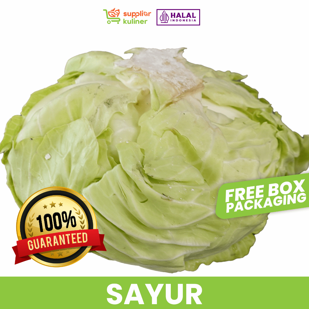 

LETTUCE / SAYUR / GUBIS / KUBIS