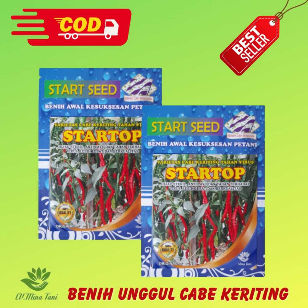 BENIH CABE KRITING STARTOP