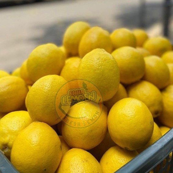 

NEW Jeruk Lemon California Super 1 KG by SUUR LEMOEN ID