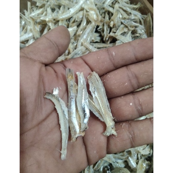 

PENJUALAN CEPATBEST SELLER Teri jengki belah 5grteri kacang