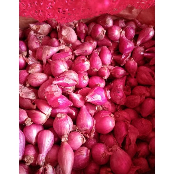 

FLASH SALE BAWANG MERAH SUPER PILIHAN PER KG