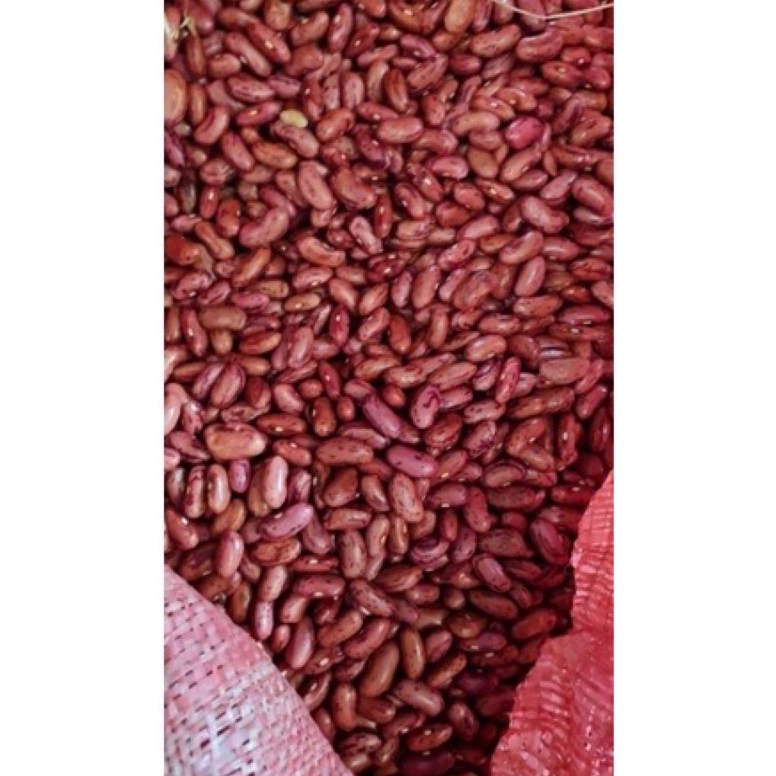 

GROSIR Kacang Merah Kacang Jogo 1 KG Kilogram Premium Fresh