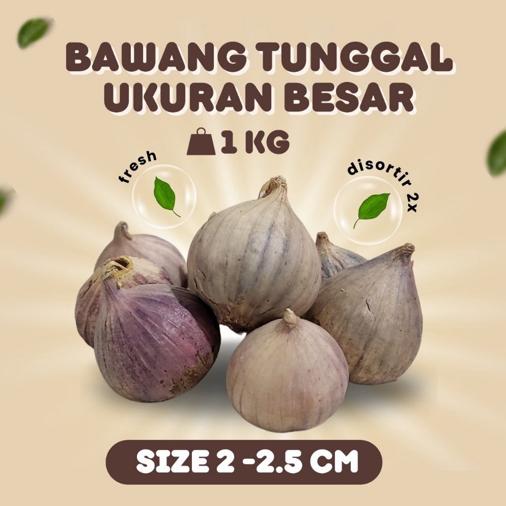 

BEST SELLER Bawang Putih Tunggal Lanang Besar 1KG