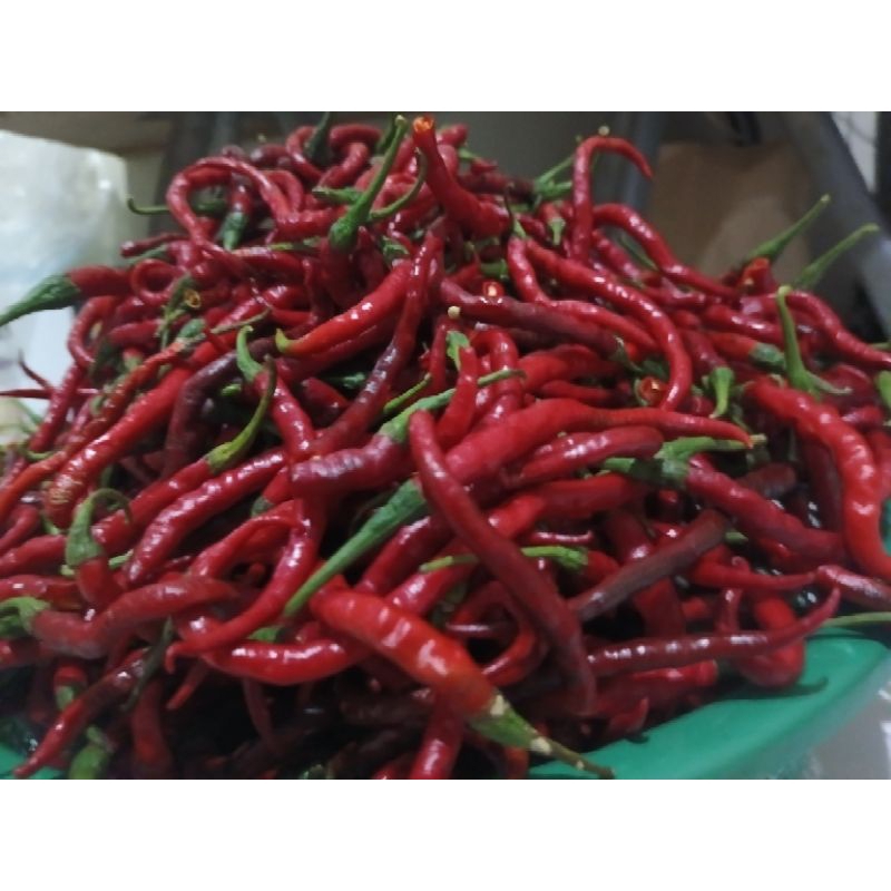 

Cabai Merah Keriting segar 1kg