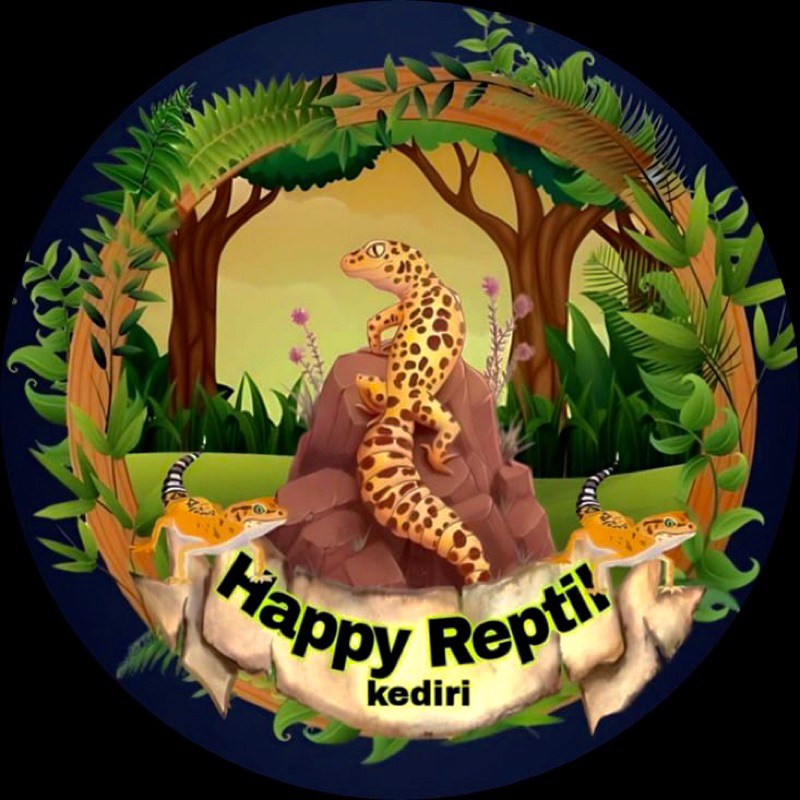 kalsium + gutload gecko