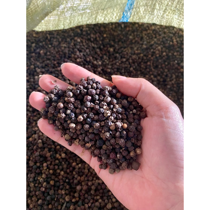 

Lada hitam 1kg harga murah