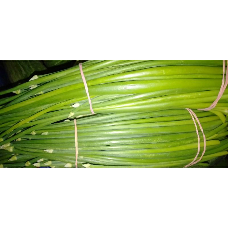 

SAYUR KEMBANG BAWANG BELALU BELALO