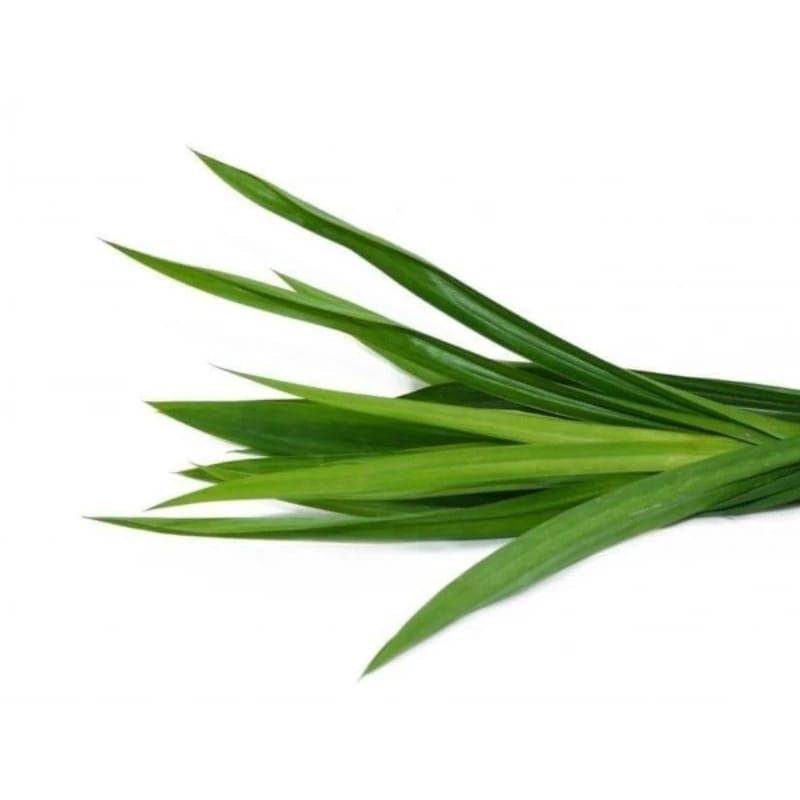 

daun pandan 1 ikat - KIRIM INSTAN