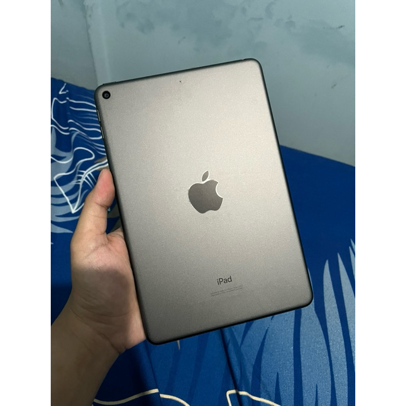 Second iPad Mini 5 64GB Wifi Only