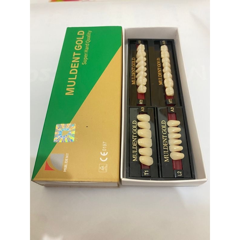 gigi palsu muldent gold fullset 4 plate / 4 papan