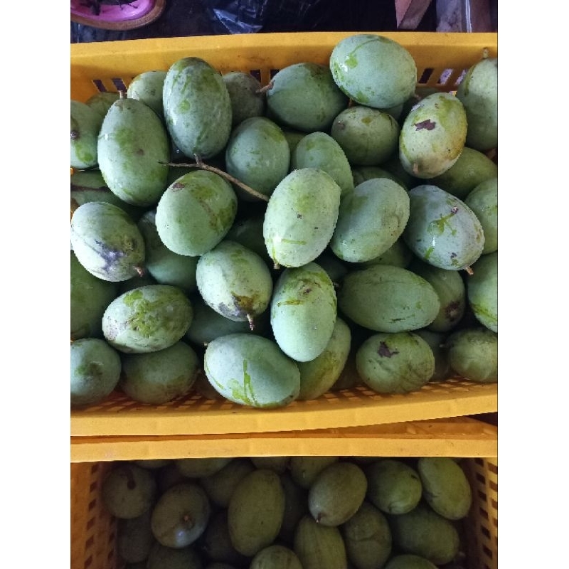 

mangga kweni 1kg