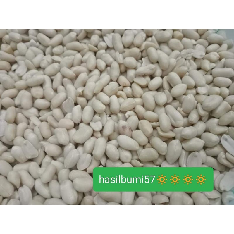 

Kacang Tanah Kupas Besar Impor 25/29 Premium