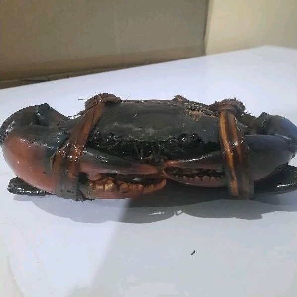 

kepiting frozen 200 up