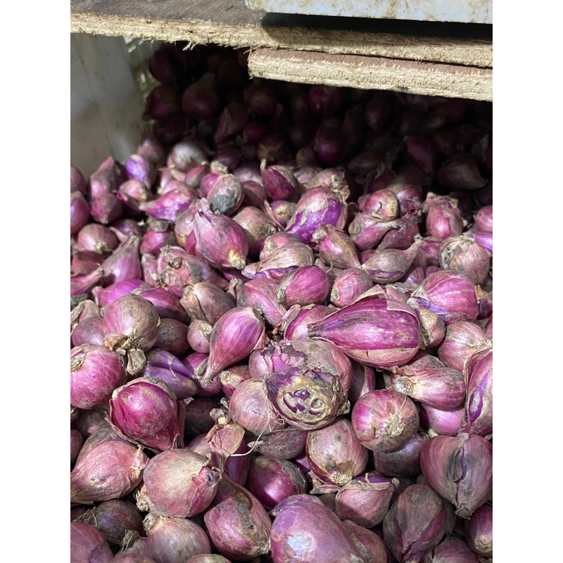 

bawang merah brebes ukuran besar 1/4kg