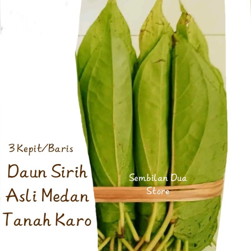 

3 Baris/Kepit Daun Sirih Asli Tanah Karo Sirih Tiga Binanga