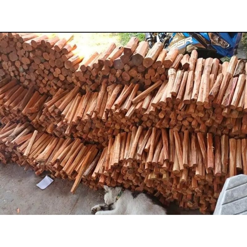 

kayu secang batangan 20-25cm