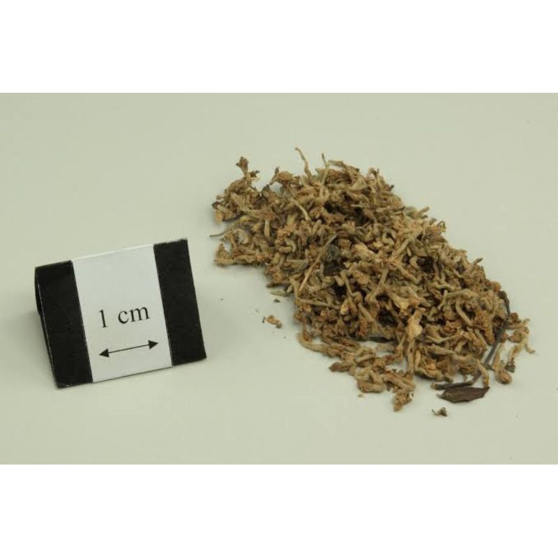 

600 G GR GRAM BAI YUAN HUA 白芫花 FLOS GENKWA LILAC DAPHNE FLOWER BUD