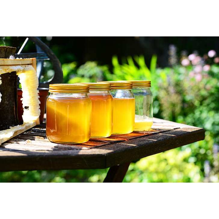 

Madu Trigona Harmony Asli