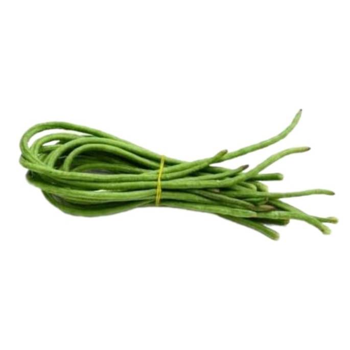 

KIRIM INSTAN KACANG PANJANG IKAT KECIL