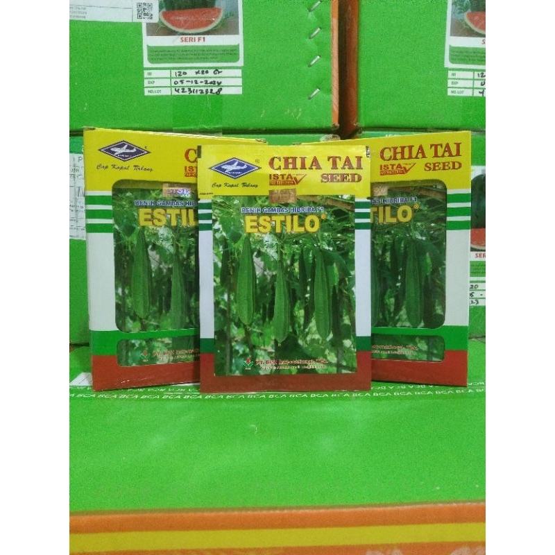 Bibit Oyong  ESTILO Cap Kapal terbang