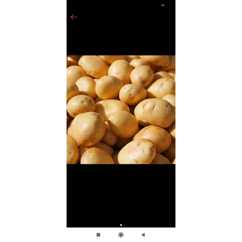 

kentang rendang fresh premium 1/2.kg