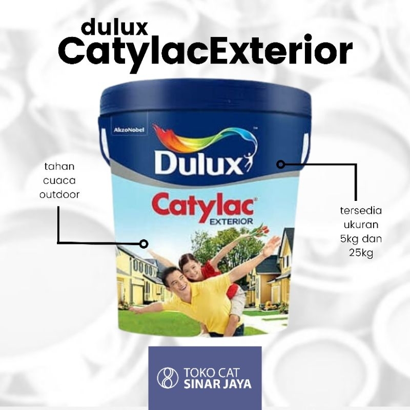 Dulux Catylac Eksterior Woodland Mystery 25kg