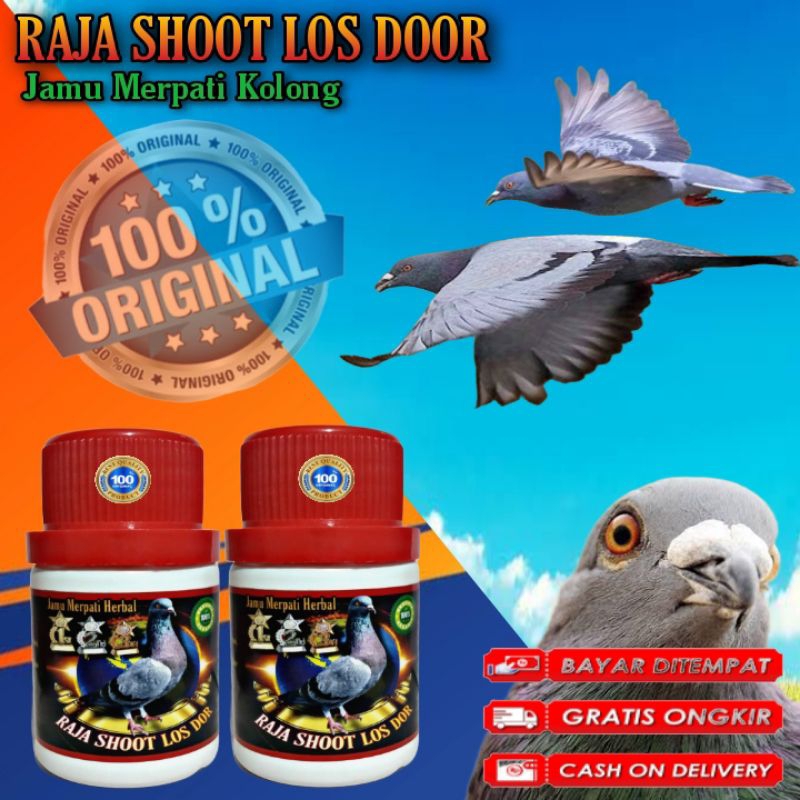 PROMO  JAMU MERPATI KOLONG LOS DOOR raja shoot los door doping merpati balap tinggi kolong los dor d