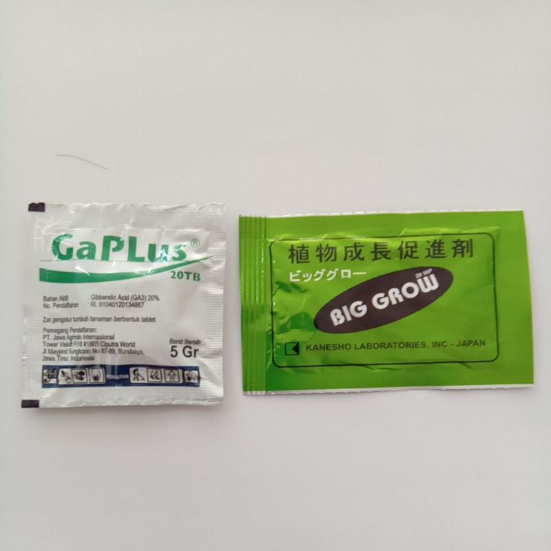 Paket ZPT GA3 Pembesar Buah Big Grow & Gaplus tablet Gibralic Acid buah naga jambu durian melon mang