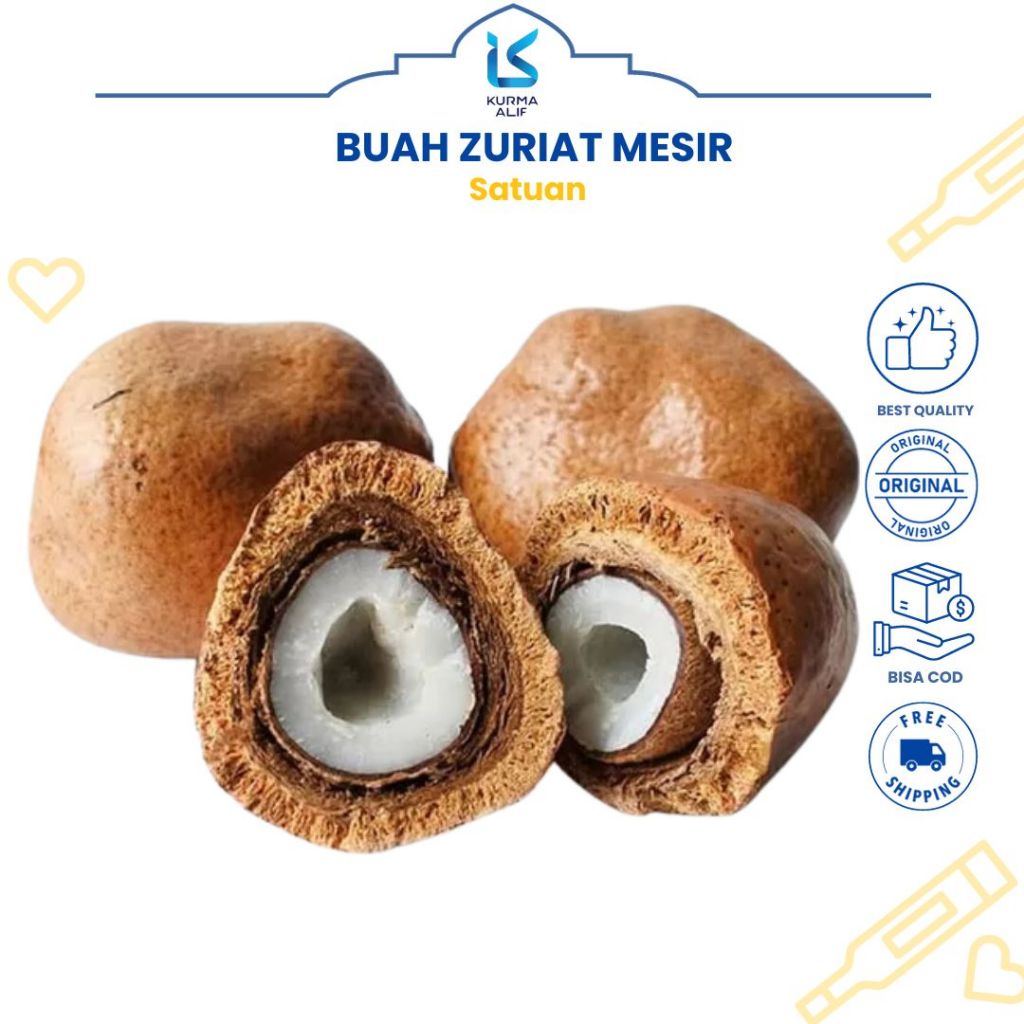 

Buah Zuriat Mesir / Promil Doum Asli / Zuriyat Program Hamil Satuan PCS