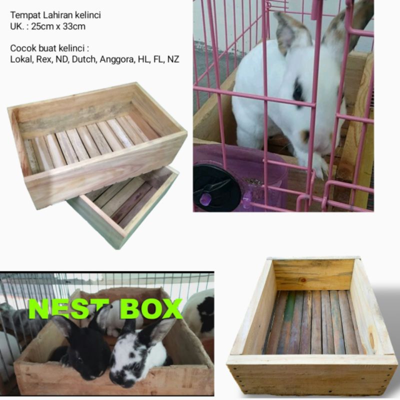 Nestbox kelinci, Tempat Lahiran kelinci, Nestbox indukan beranak kelinci