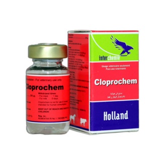 CLOPROCHEM 10 ml HORMON PGF2 SINKRONISASI ESTRUS PENCERNAAN SAPI KUDA